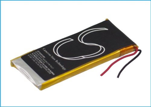 Amazon.com: XSPLENDOR Replacement Battery for Apple iPod Nano 6th